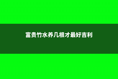 富贵竹水养几根最招财 (富贵竹水养几根才最好吉利)