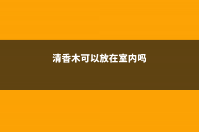 清香木可以放在卧室吗 (清香木可以放在室内吗)