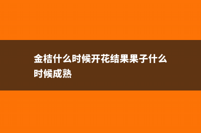 金桔什么时候开花结果 (金桔什么时候开花结果果子什么时候成熟)