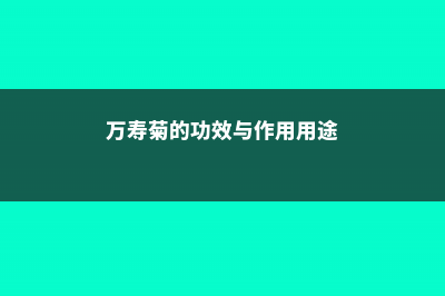 万寿菊的功效与作用 (万寿菊的功效与作用用途)