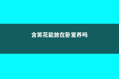 含笑花能放在卧室吗 (含笑花能放在卧室养吗)