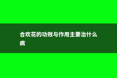 合欢花的功效与作用 (合欢花的功效与作用主要治什么病)