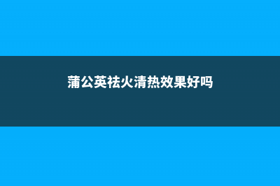 蒲公英祛火清热，能喝又能吃，再不挖就老了！ (蒲公英祛火清热效果好吗)