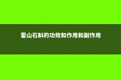 霍山石斛的功效与作用 (霍山石斛的功效和作用和副作用)