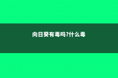 向日葵有毒吗 (向日葵有毒吗?什么毒)