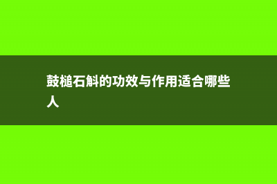 鼓槌石斛的功效与作用 (鼓槌石斛的功效与作用适合哪些人)