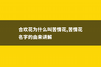 合欢花为什么叫苦情花 (合欢花为什么叫苦情花,苦情花名字的由来讲解)