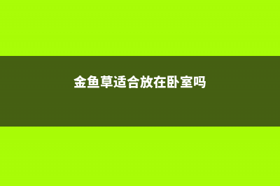 金鱼草适合放在卧室吗 (金鱼草适合放在卧室吗)