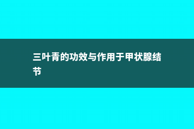 三叶青的功效与作用 (三叶青的功效与作用于甲状腺结节)