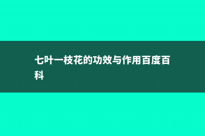 七叶一枝花的功效与作用 (七叶一枝花的功效与作用百度百科)