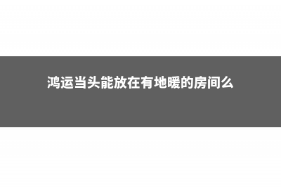 鸿运当头能放在卧室吗 (鸿运当头能放在有地暖的房间么)