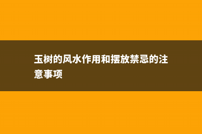 玉树的风水作用 (玉树的风水作用和摆放禁忌的注意事项)