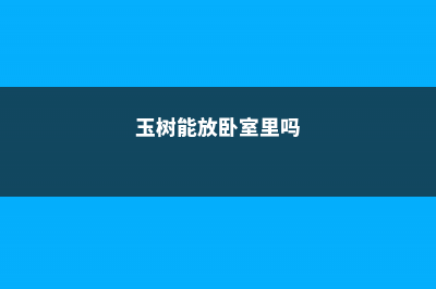 玉树可以放在卧室吗？ (玉树能放卧室里吗)