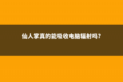 仙人掌真的能吸收辐射吗 (仙人掌真的能吸收电脑辐射吗?)