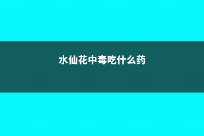 水仙花中毒怎么办 (水仙花中毒吃什么药)