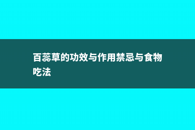 百蕊草的功效与作用 (百蕊草的功效与作用禁忌与食物吃法)