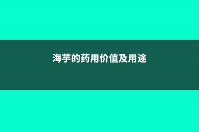 海芋的主要功效及其价值 (海芋的药用价值及用途)