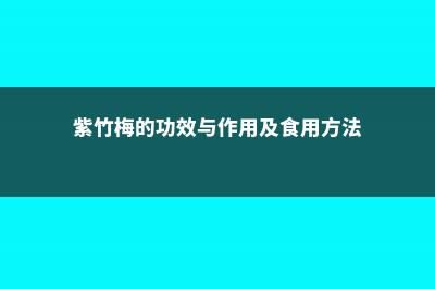 紫竹梅的功效与作用 (紫竹梅的功效与作用及食用方法)