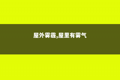 屋外雾霾，屋里氧吧，全靠不起眼的它！ (屋外雾霾,屋里有雾气)