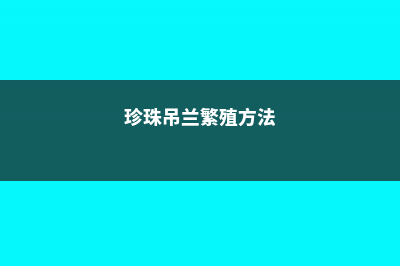 珍珠吊兰虽好看，可是放在室内养你真的放心吗？ (珍珠吊兰繁殖方法)