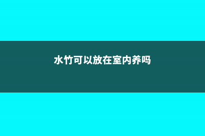 水竹可以放在室内吗 (水竹可以放在室内养吗)