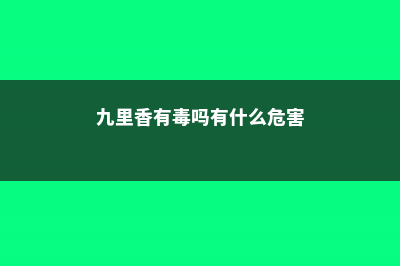 九里香有毒吗 (九里香有毒吗有什么危害)