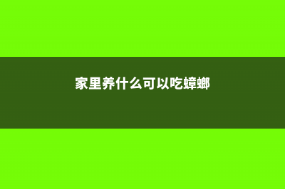 家里养什么可以招桃花 (家里养什么可以吃蟑螂)