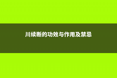 川续断的功效与作用 (川续断的功效与作用及禁忌)