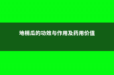 地梢瓜的功效与作用 (地梢瓜的功效与作用及药用价值)