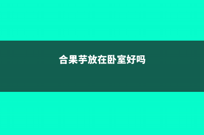 合果芋能放在卧室吗 (合果芋放在卧室好吗)