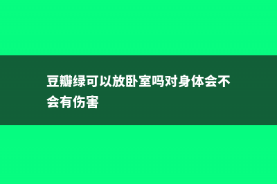 豆瓣绿可以放卧室吗 (豆瓣绿可以放卧室吗对身体会不会有伤害)