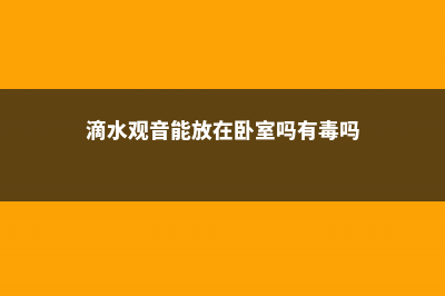 滴水观音能放在卧室养吗 (滴水观音能放在卧室吗有毒吗)