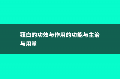 薤白的功效与作用 (薤白的功效与作用的功能与主治与用量)