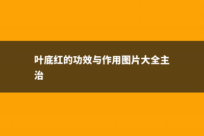 叶底红的功效与作用 (叶底红的功效与作用图片大全主治)