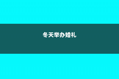 冬季婚庆可以用哪些花 (冬天举办婚礼)