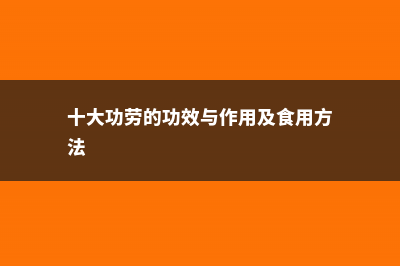 十大功劳的功效与作用 (十大功劳的功效与作用及食用方法)