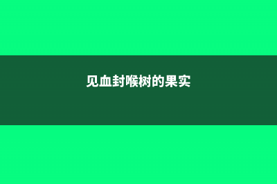 见血封喉树的主要价值 (见血封喉树的果实)