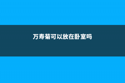 万寿菊可以放在卧室吗 (万寿菊可以放在卧室吗)