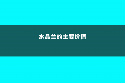 水晶兰的主要价值 (水晶兰的主要价值)