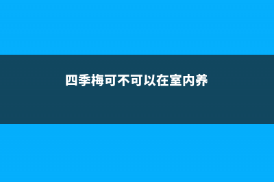 四季梅可以放卧室养吗 (四季梅可不可以在室内养)