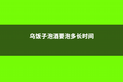 乌饭子怎么泡酒，这样绝对好喝健康！ (乌饭子泡酒要泡多长时间)