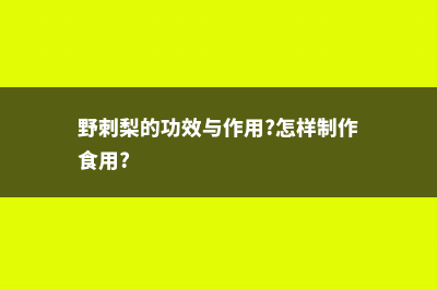 野刺梨的功效与作用 (野刺梨的功效与作用?怎样制作食用?)