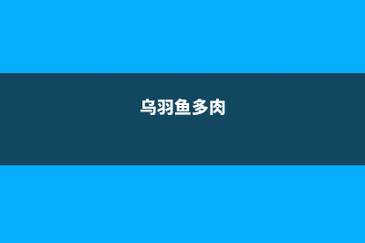 多肉乌羽玉主要的价值 (乌羽鱼多肉)