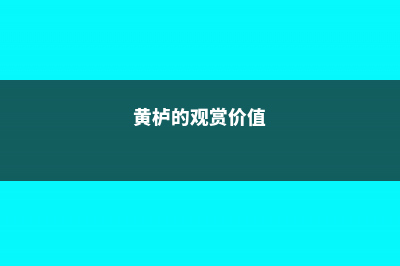 黄栌的价值 (黄栌的观赏价值)