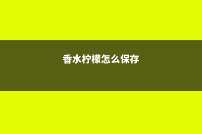 柠檬怎么保存 (香水柠檬怎么保存)