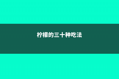 柠檬的吃法有哪些？ (柠檬的三十种吃法)