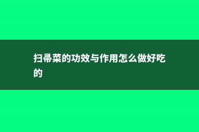 扫帚菜的功效与作用 (扫帚菜的功效与作用怎么做好吃的)