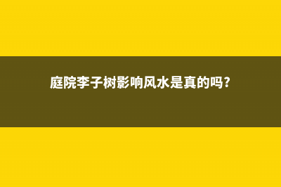 庭院李子树影响风水吗？ (庭院李子树影响风水是真的吗?)