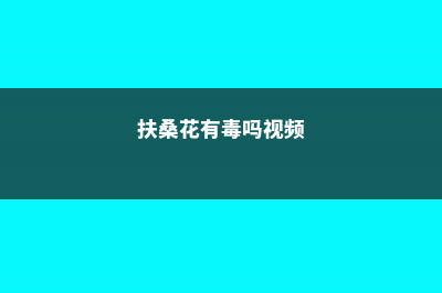 扶桑花有毒吗 (扶桑花有毒吗视频)