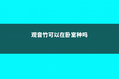 观音竹可以在卧室养吗 (观音竹可以在卧室种吗)